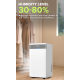 Cornell 12L Dehumidifier, High Coverage Area with Real Time Display